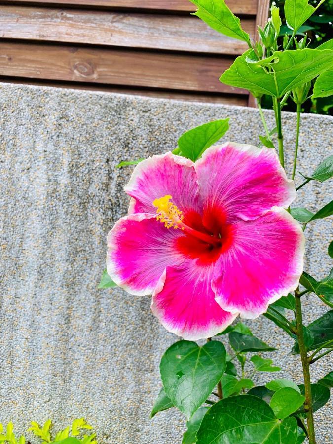 Jifun Flower Meanings Ji'an Exterior photo